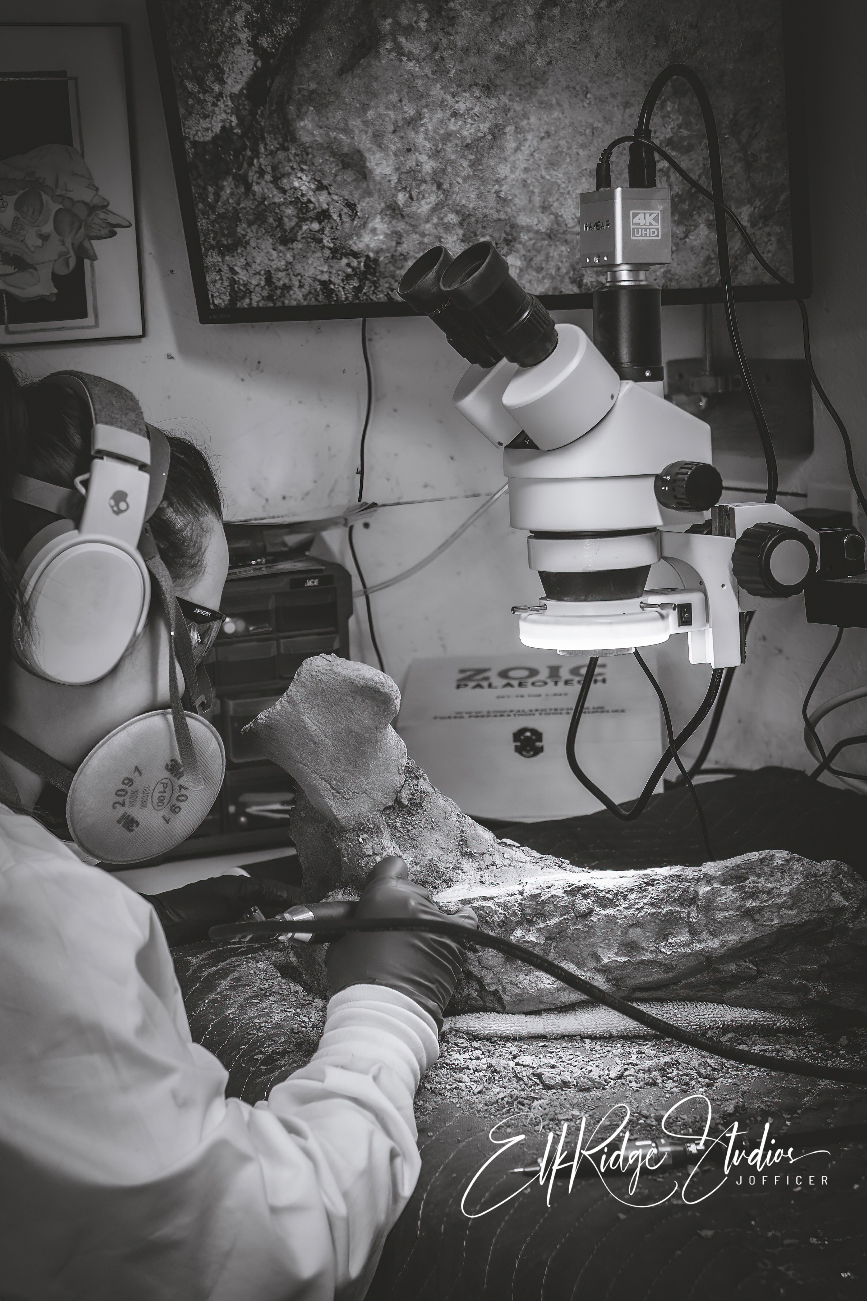 Fossil Preparation Fossil Oasis