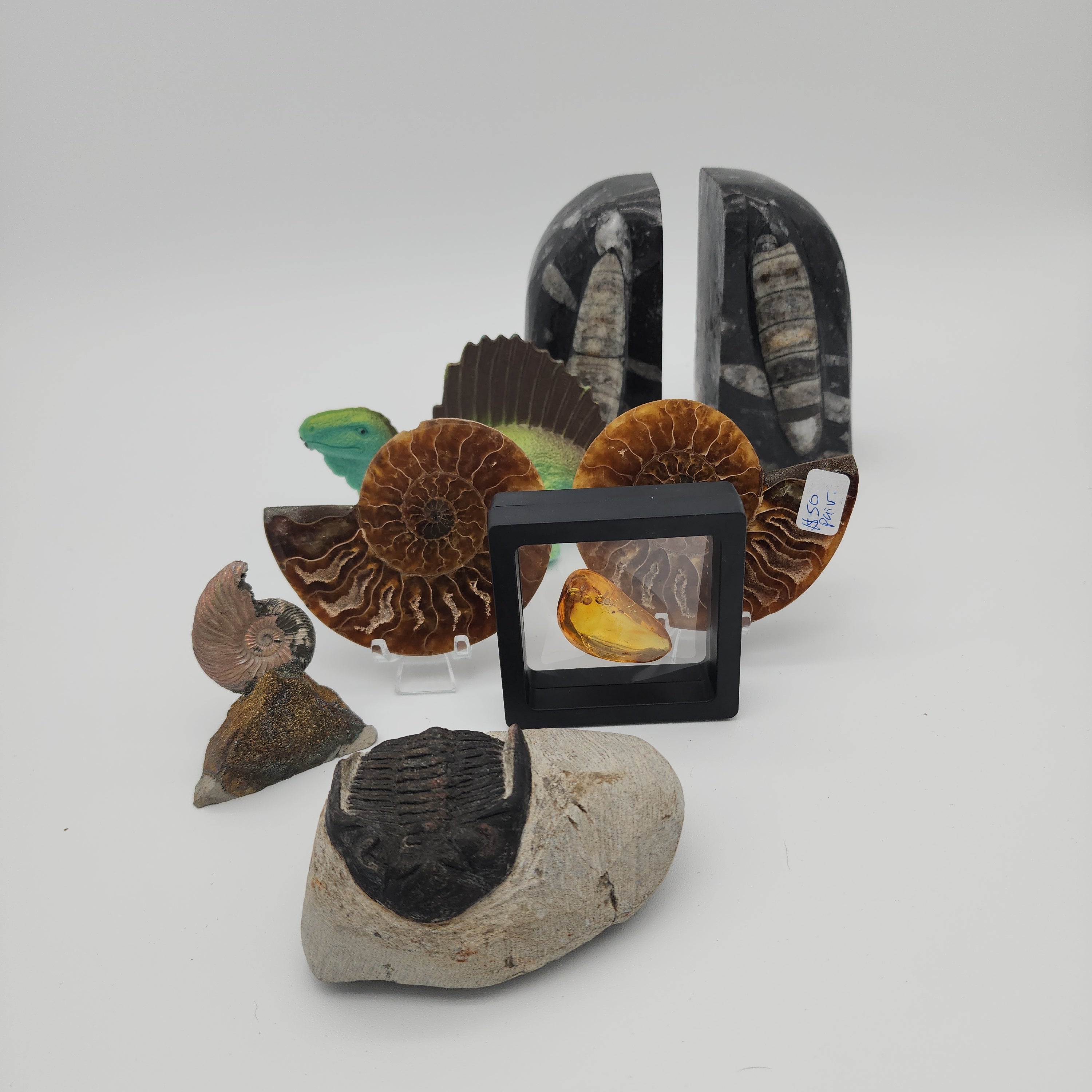 Fossil Oasis