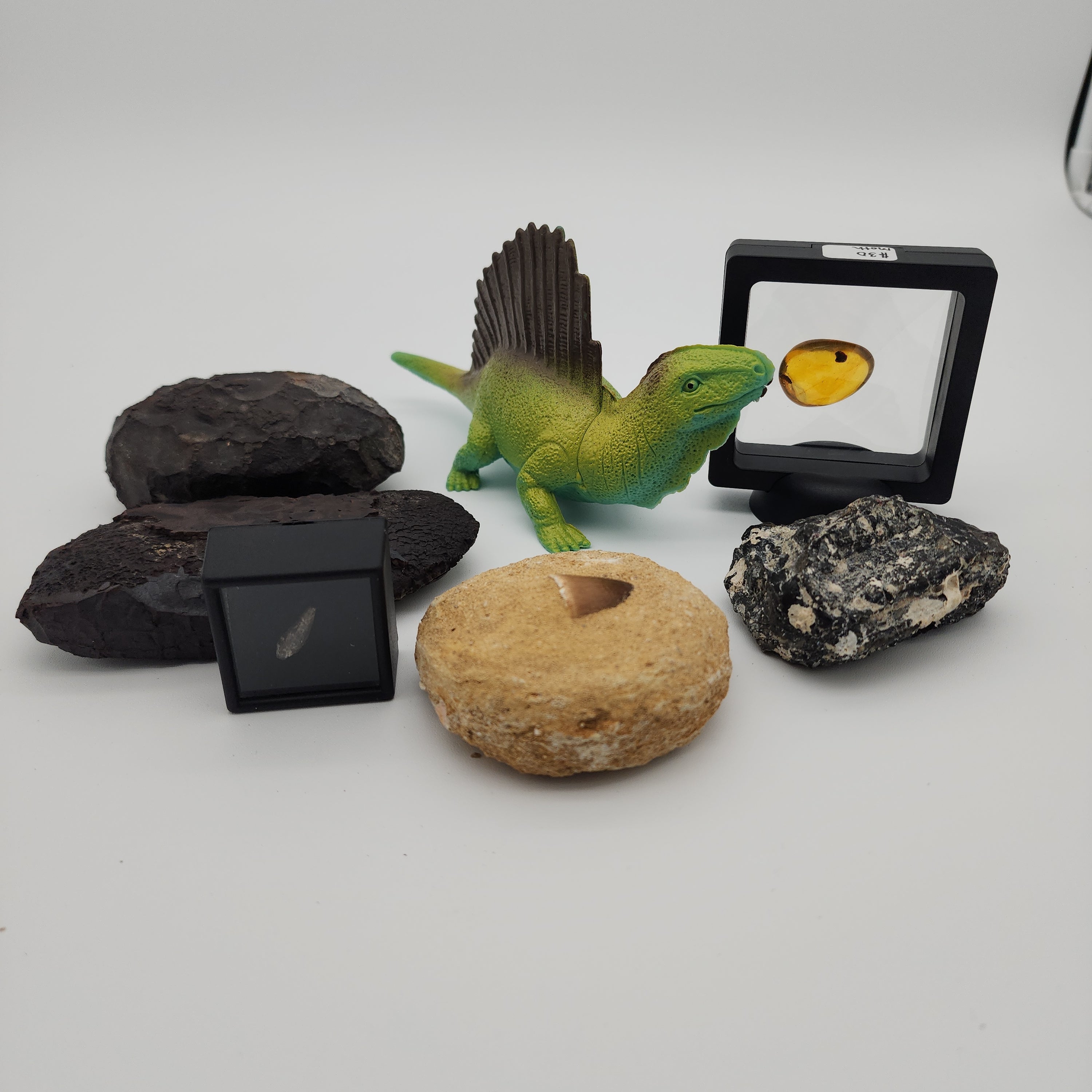 Fossil Oasis