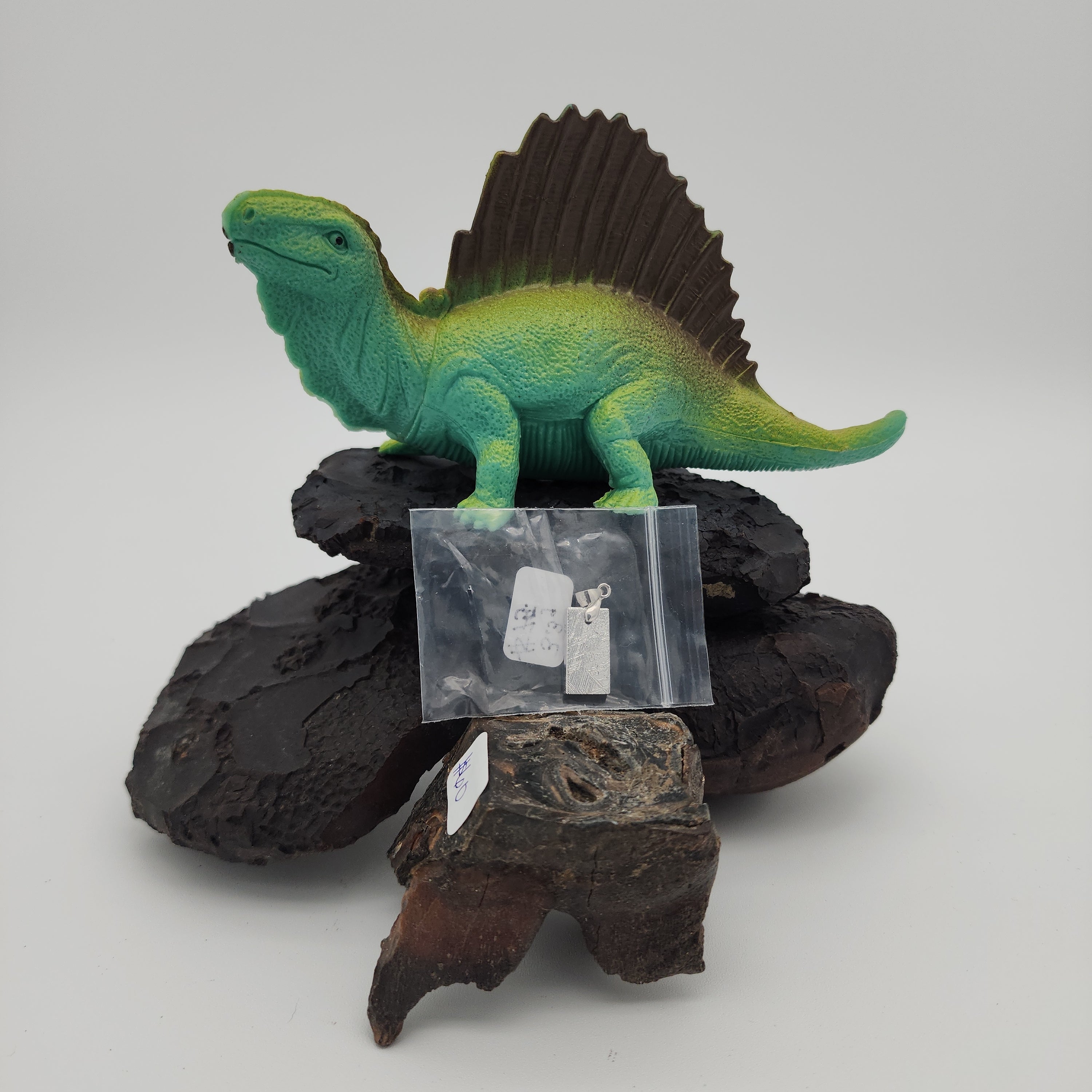 Fossil Oasis