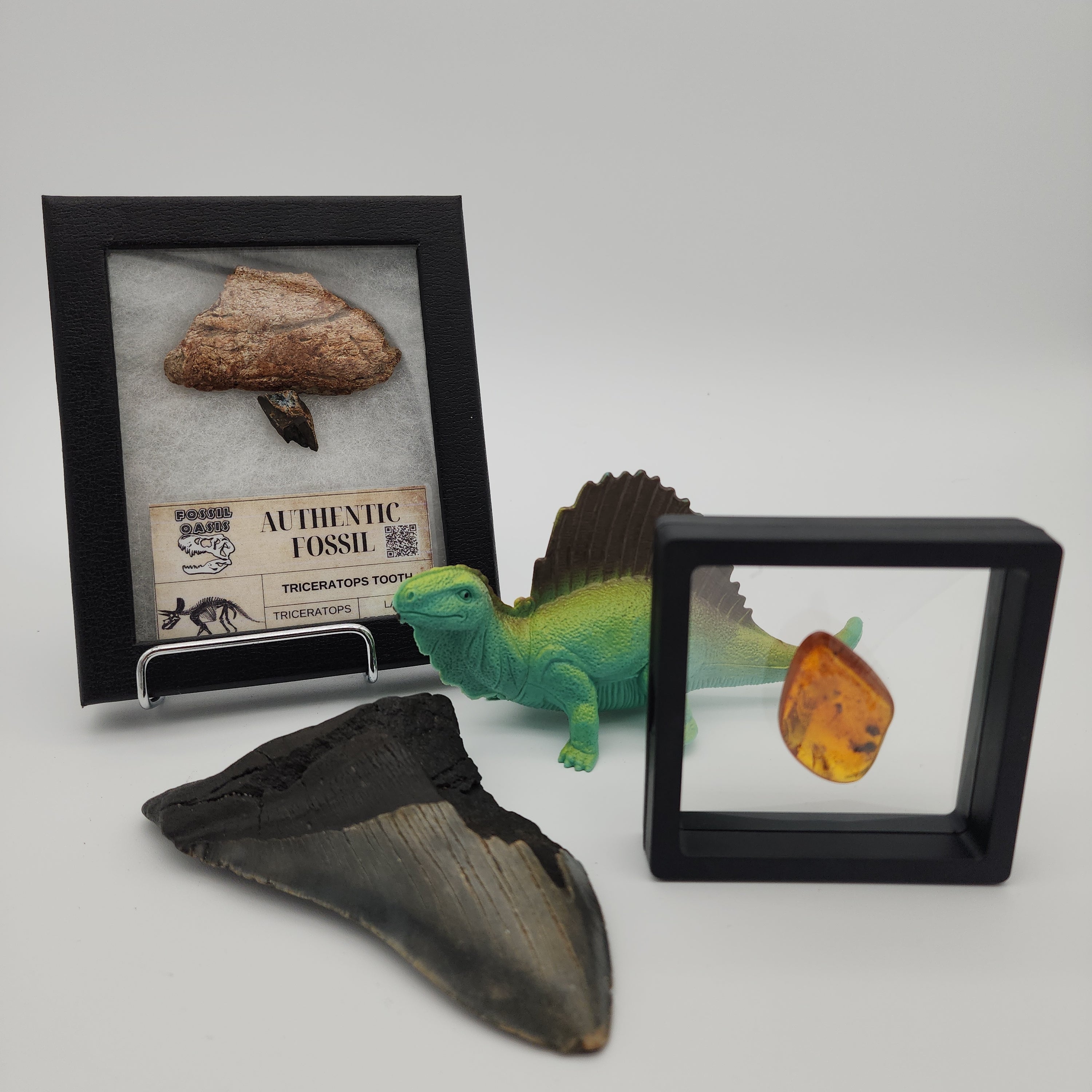 Fossil Oasis