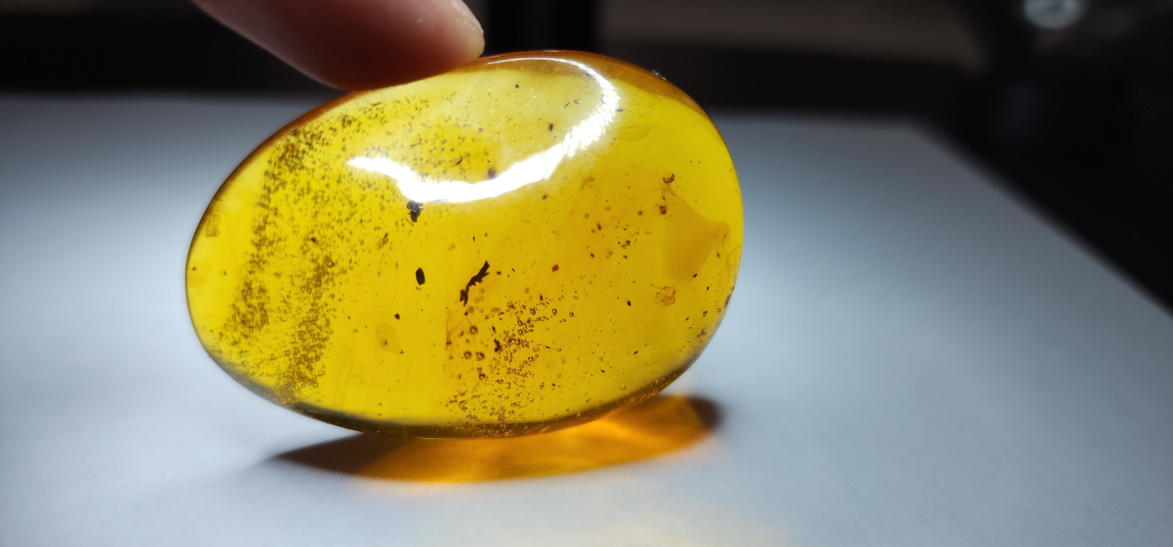 Dominican Amber Mosquito Mycephalid Swarm With Bubbles Fossil Oasis dominican-amber-mosquito-mycephalid-swarm-with-bubbles-fossil-oasis