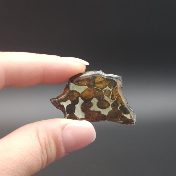 1.6" Polished Pallasite Meteorite Specimen 7.67 grams - Kenya