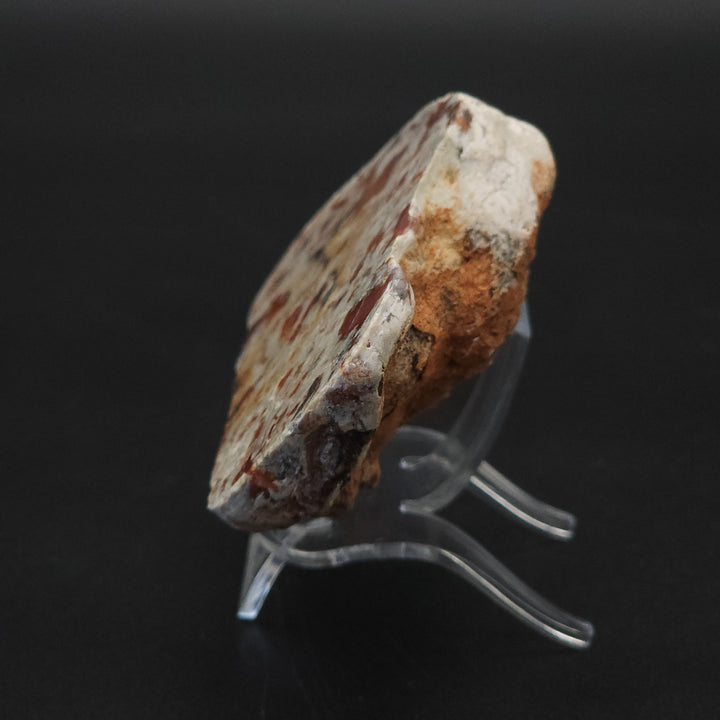 5.8 oz Polished Pair Jurassic Dinosaur Coprolite | Henry Mountain, Utah
