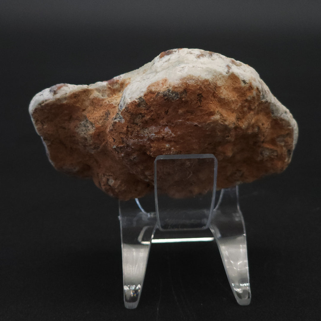 5.8 oz Polished Pair Jurassic Dinosaur Coprolite | Henry Mountain, Utah