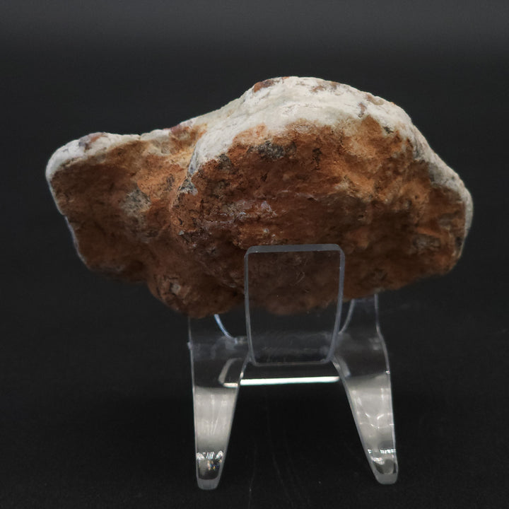 5.8 oz Polished Pair Jurassic Dinosaur Coprolite | Henry Mountain, Utah
