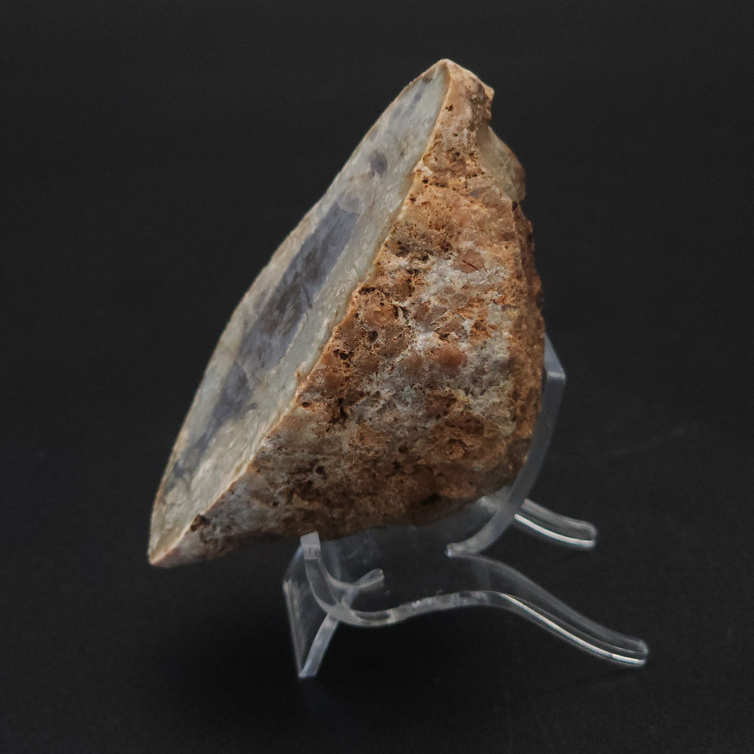 7.7 oz Polished Pair Jurassic Dinosaur Coprolite | Henry Mountain, Utah