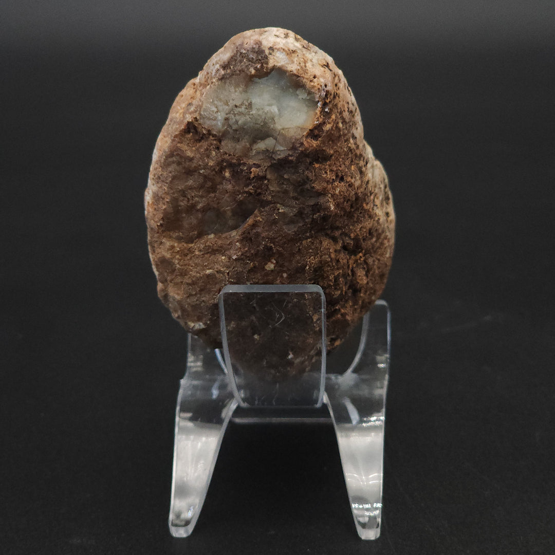 7.7 oz Polished Pair Jurassic Dinosaur Coprolite | Henry Mountain, Utah