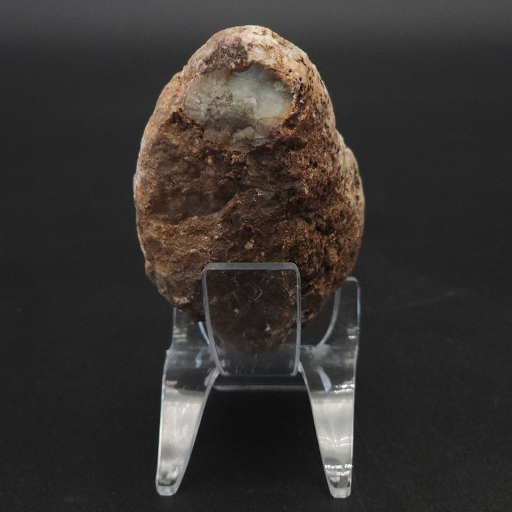 7.7 oz Polished Pair Jurassic Dinosaur Coprolite | Henry Mountain, Utah