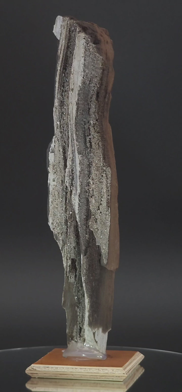8.5" Permineralized Wood Covered In Sparkling Quartz -, Germany